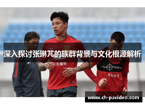 深入探讨张琳芃的族群背景与文化根源解析