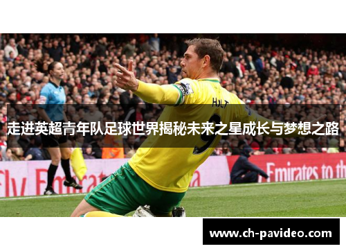 走进英超青年队足球世界揭秘未来之星成长与梦想之路