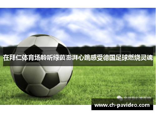 在拜仁体育场聆听绿茵澎湃心跳感受德国足球燃烧灵魂 在拜仁体育场聆听绿茵澎湃心跳感受德国足球燃烧灵魂