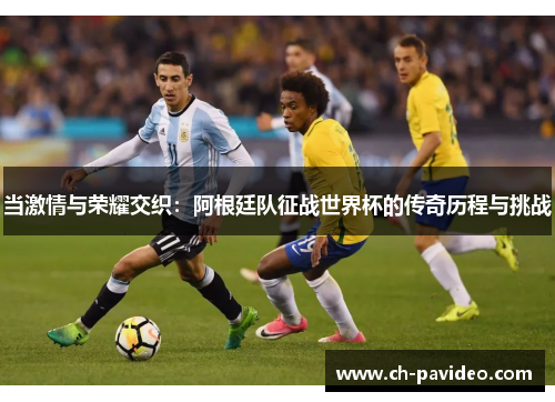 当激情与荣耀交织：阿根廷队征战世界杯的传奇历程与挑战