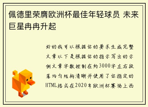 佩德里荣膺欧洲杯最佳年轻球员 未来巨星冉冉升起